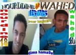 wahed