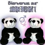 Radolineblogeur