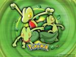 les pokemon