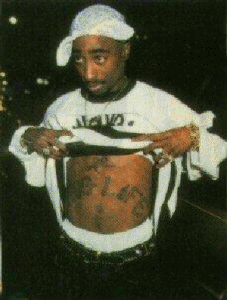 papa