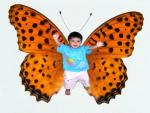 yassar