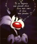100% l'om