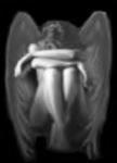 ange-maudit