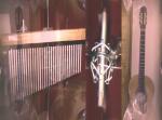 Sound Production