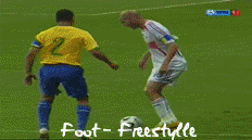 fou de zizou