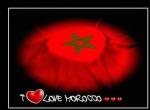 aLlEr_lEs_mArOcAiNs
