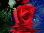 soyez le bien venu sur mon vip-blog