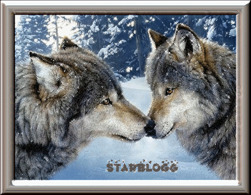  Loup  par starblogg