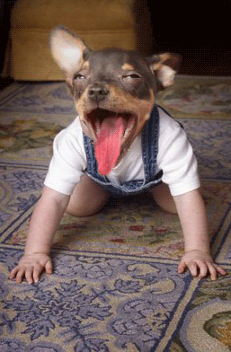 � le ptit frere de ... � par dri_ss