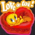 BlOg D£ mOn LoV£uR é Moiii