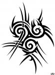 The Tribe