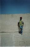 salimrobinho
