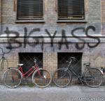 bigyass vs souhaite une bonne visite sur son vip-blog