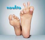 noukta