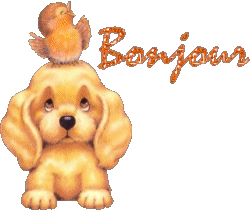 Bienvenue