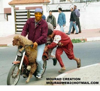 � tbar lah 3lih rah khdam mezian wa herfa hadi � par anas-sonic