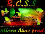 bcss family