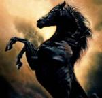chevaux , rap et breakdance