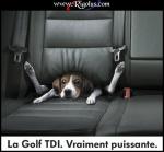 pa de conerie sur mon blog!! ok?
