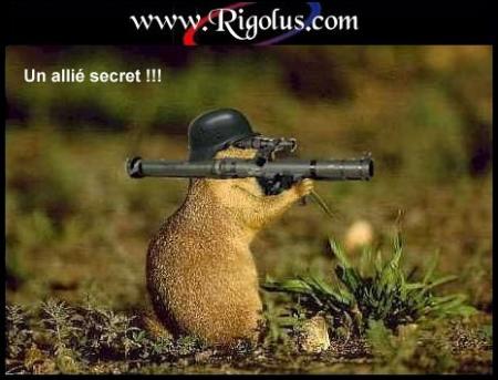 � 8a8wa lm3lem fel mag magayzgelch bnadem � par anas-sonic