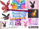 SALUT LES BLOGARD