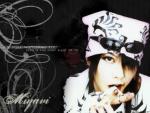 _wlCom--