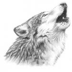 Les Loups