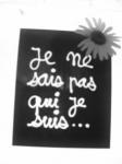 rien que des poémes