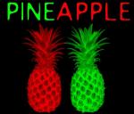 PineApple's diary