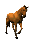 Cheval mon ami