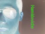 hamidovich1