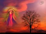 en route pour l amour la sagesse et la magie