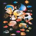 Les poissons d'aquarium