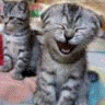  tof  par dri_ss