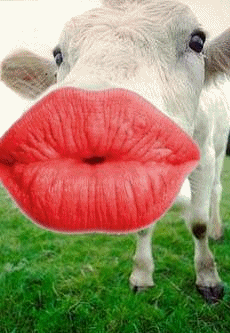  un bisou de ma part  par papillon_tarik