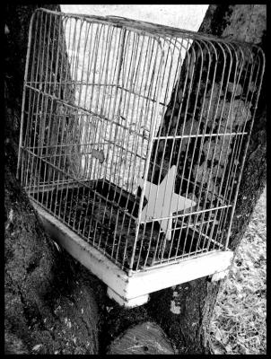 Un sentiment &eacute;trange...