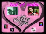 tous se que j'aime