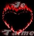 come on , u ll find everything