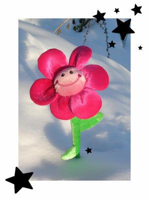 Tit bout de fleur...