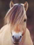 vOici la skOuateuz !!! mdr