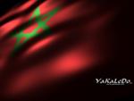 HamzaouiStyle