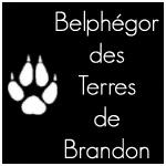 [- Belphgor -]