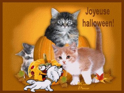 Pour vous mes ami(e)s