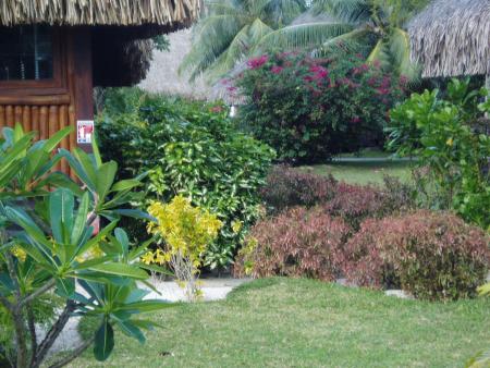 MOOREA 