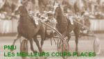 pmulesmeilleurscoupsplace