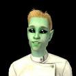 100%sims2
