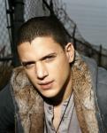 Wentworth Miller