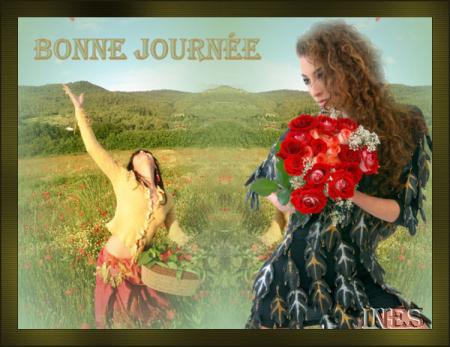 amicalment INES