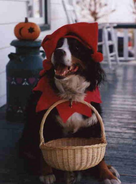 Aider &agrave; d&eacute;fendre nos amis