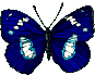 � bienvenue sur mon blog � par stephy
